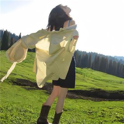 情断干戈